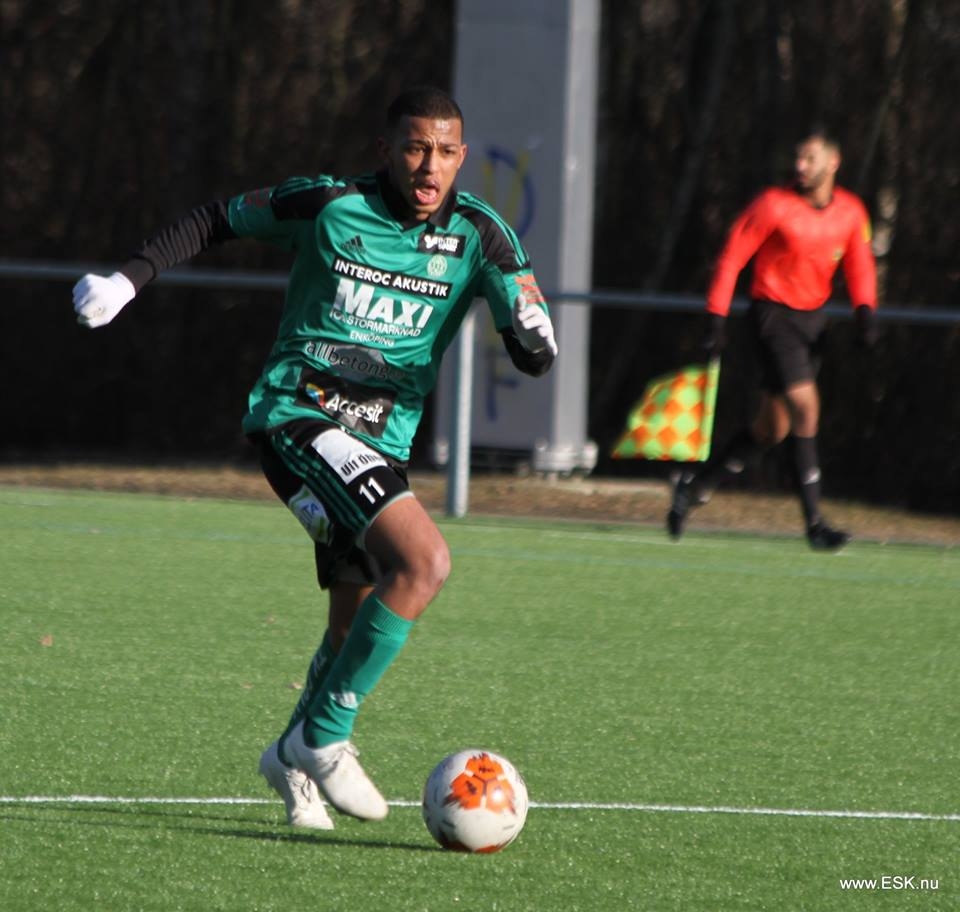 Genrep mot Franke
