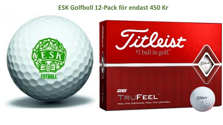 Stöd ESK Fotboll