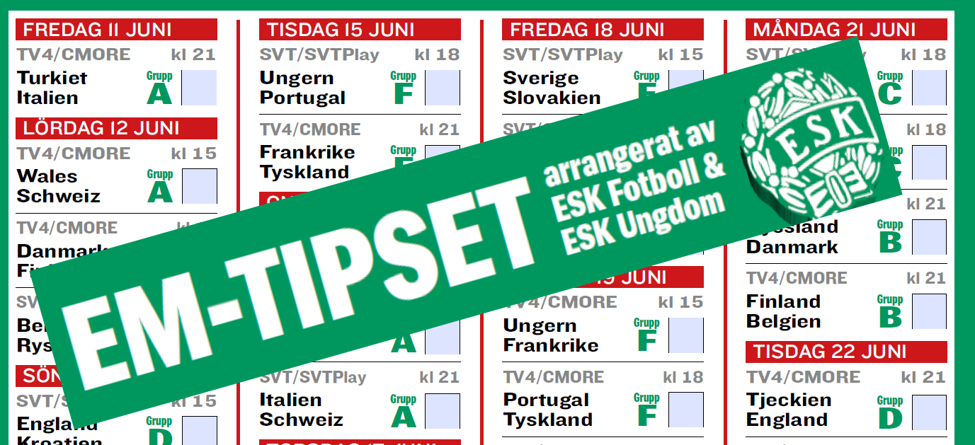 Topp 20 i EM-tipset